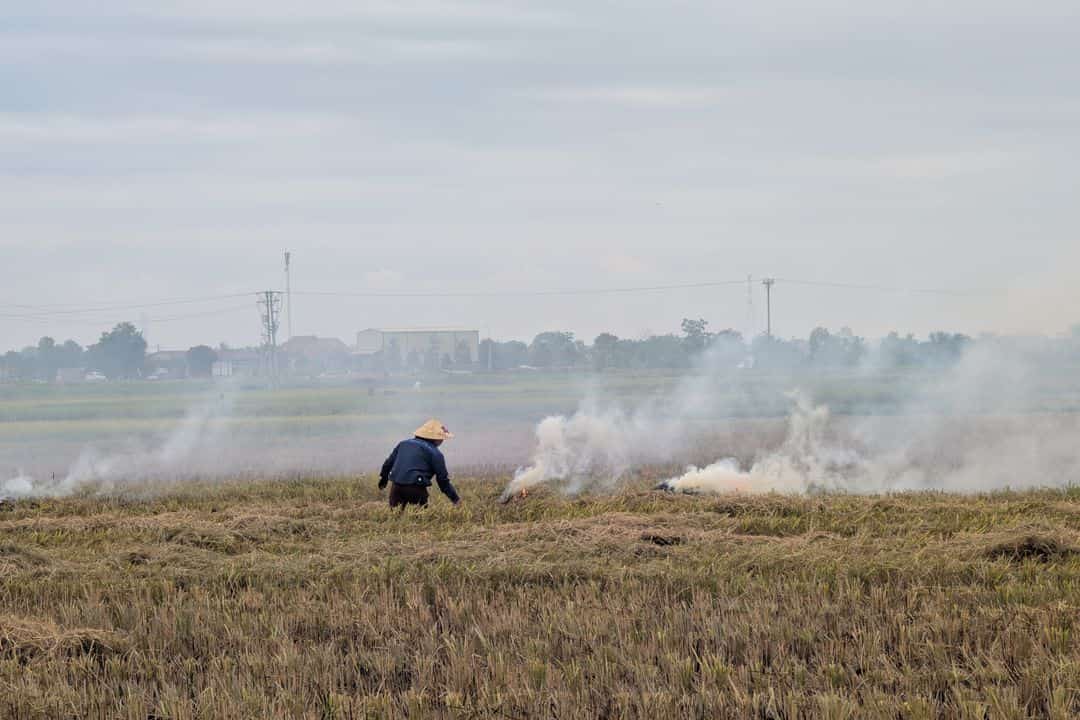 Will Crop Burning Affect AQI Again This Year?